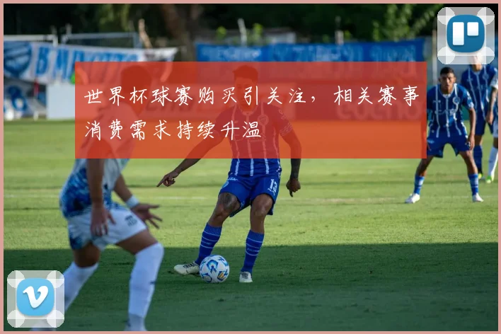 世界杯球赛购买引关注，相关赛事消费需求持续升温