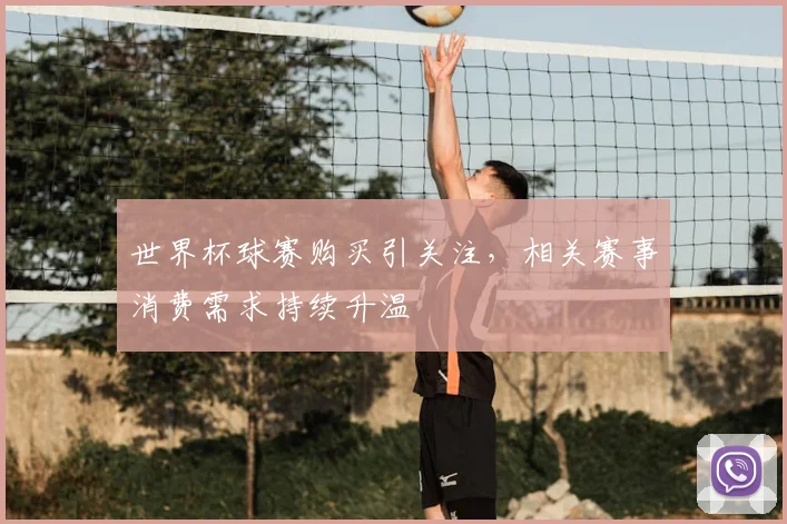 世界杯球赛购买引关注,相关赛事消费需求持续升温