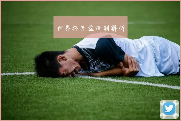 世界杯开盘机制解析